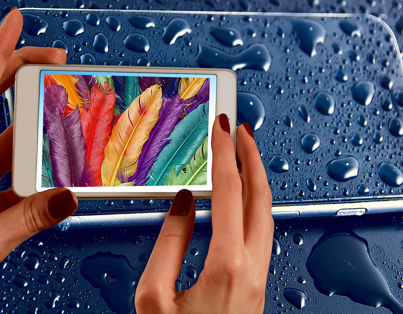 communication-1542722 communication-1542722